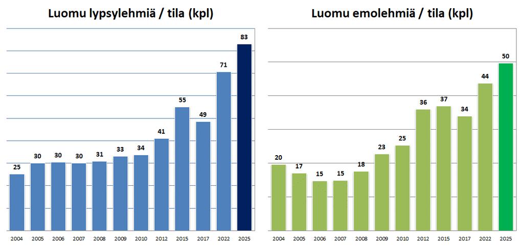 Luomumaito- ja emolehmätilat keskimääräistä suurempia