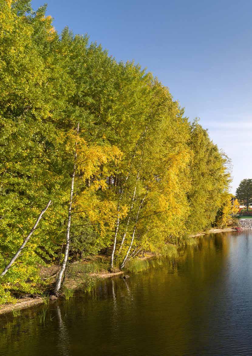 kanska odit Asuntomyynnin maksuton puhelinpalvelu 8 14 14 e-mail: asuntomyynti.lappeenranta@skanska.