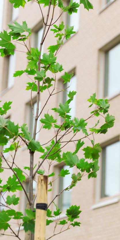 säätömahdollisuudet, mutta myös rakennusten käyttäjien koulutus energiaa ja ympäristöä säästäviin käytäntöihin.