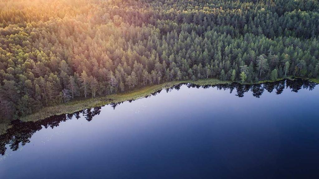 Tieto itää - hanketyön