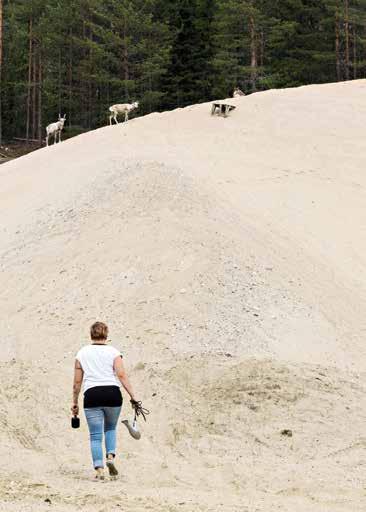 Kauppa- ja muu asiointipalvelu Lumityö, kiinteistöja pihatyöpalvelut Halkohuolto Siivouspalvelu Kuljetus-ja saattajapalvelut Sosiaalinen kanssakäyminen Turvapalvelu Ruoanlaitto Ulkoilupalvelu