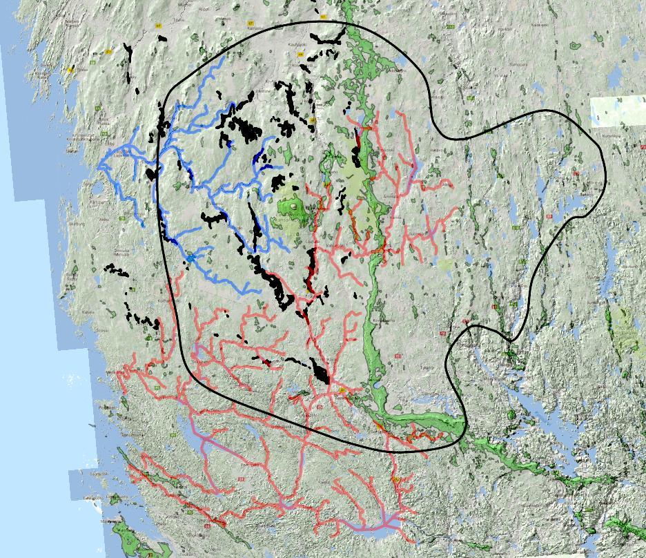 Moreenipeitteiset harjut Piiloharjuja Viime jääkausi kerrostanut aikaisemmissa jäätiköitymivaiheissa syntyneiden sorakerrosten päälle hienoainesmoreenia, mäkisavea Sorakerroksia myös