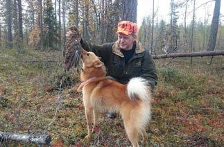 Metsästäjäliitto vastaa metsästysampumatoiminnasta Suomessa. Valikoimasta löytyy lajeja niin sorsastajalle, kanalinnunmetsästäjälle, hirvenpyytäjälle kuin muillekin jahtimiehille ja -naisille.