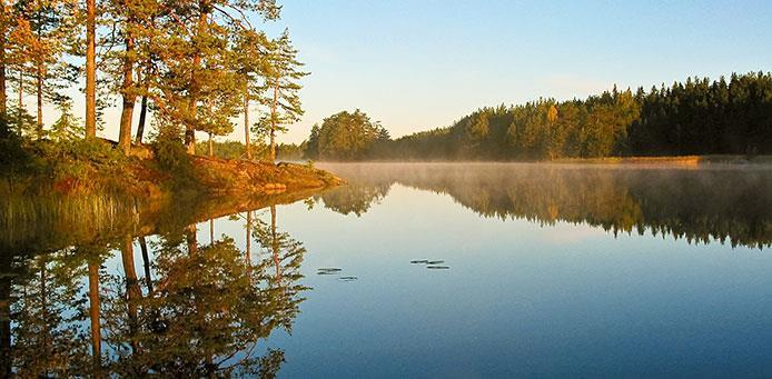 Harri Karjalainen Puistonjohtaja