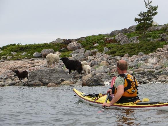 Jungfruskär ja Dalskär Bodön entinen merivartioasema vuokrattu