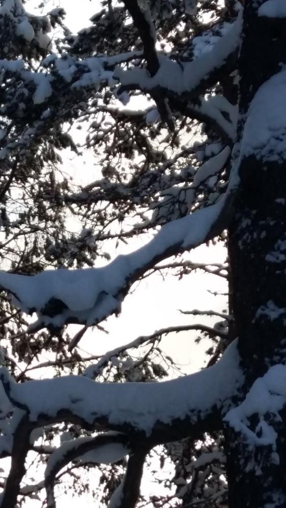 Itsemääräämisoikeuden vahvistaminen Eri roolit itsemääräämisoikeuden tukemisessa Sosiaalityöntekijä Läheinen