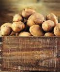 PROVENCESALAATTI 500 g, 4 pss/ltk 3,99 DOLE FAMILYMIX 1 kg,me 5 pss/ltk 4,25