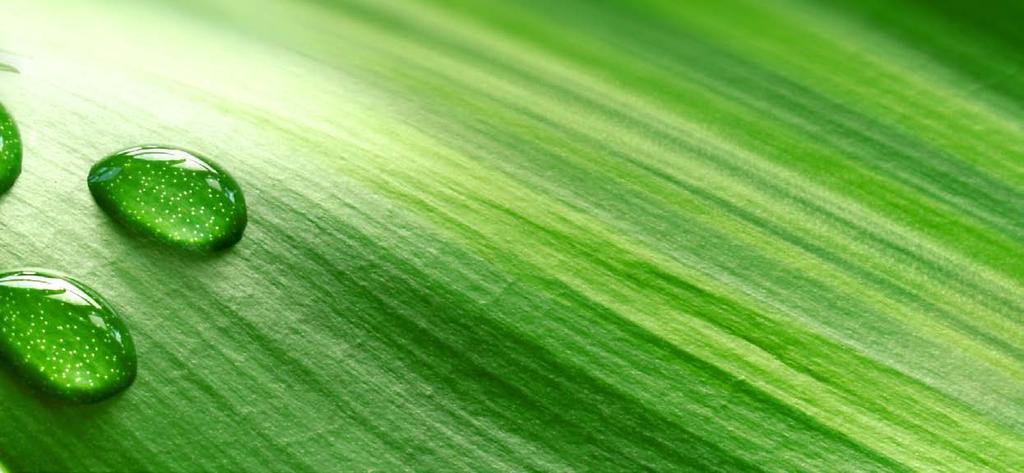 Biozell Professional THERAPEUTIC -tuotesarja hoitaa hiuksia ja hiuspohjan häiriöitä.