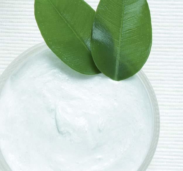 Himalaya Herbals Anti Hair Fall Shampoo Hennoille ja katkeileville hiuksille Aktiiviaineet: Bengalin leiskupuu, eclipta, Intian pyökki