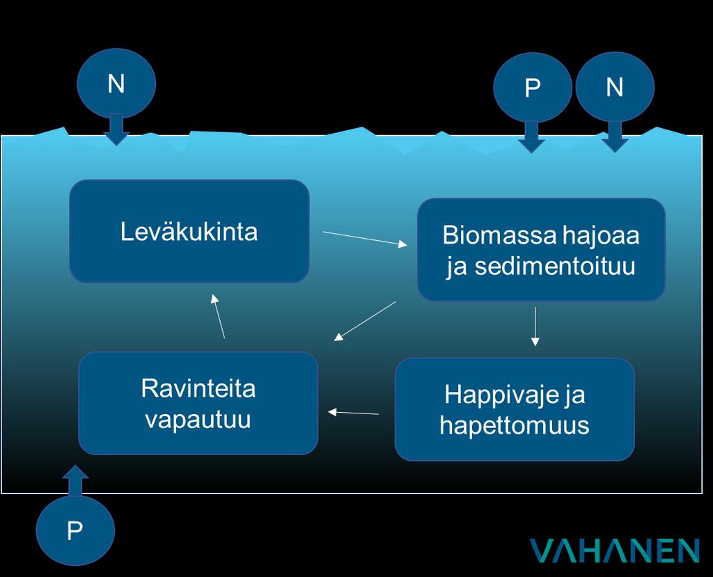 KIITOS!