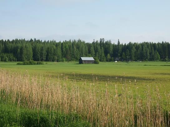 Tilakohtainen kuivatustarvekartoitus: Selvitetään: Kuivavarat Laskuaukot Salaojakaivot Valta- ja piiriojien kunto Rumpujen