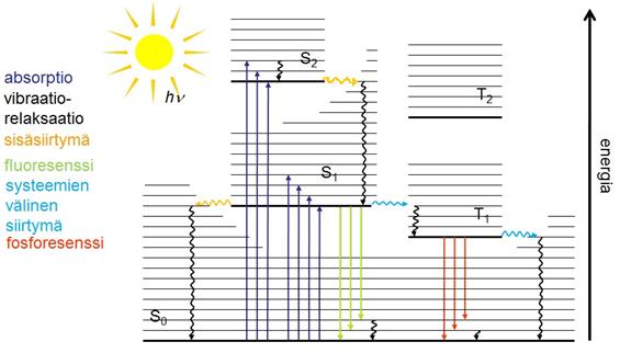 4 Kuva 2. Jablonskin diagrammi. Suorat nuolet ovat säteileviä siirtymiä ja aaltoilevat nuolet säteilemättömiä siirtymiä.