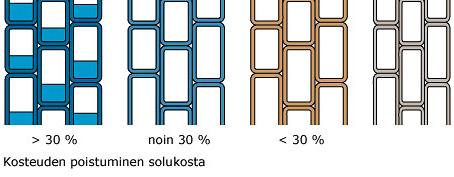 Veden vapausaste riippuu sen olinpaikasta solukossa. Kosteissa olosuhteissa kuiva puu sitoo rakenteeseensa vettä, kunnes se on tasapainossa ympäristönsä kanssa.