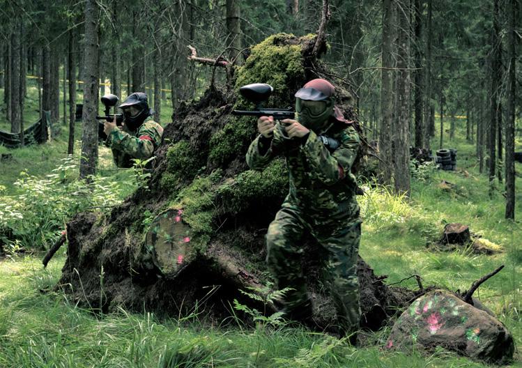 OHJELMAPALVELUT Pirteeks / Minun luontoni Kieppirinne 15