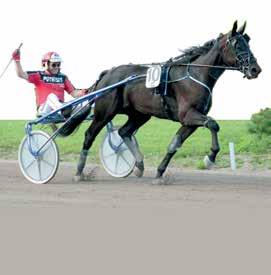 Toto-ravit MIKKELI sunnuntaina.. klo.00 rata Cartivet Meeting -karsinta Jäähdytysvoima -lähtö Lämminveriset ryhmäajo 00 m enintään 000 e. Palk. 00-00-0-0-0-0 e klo.