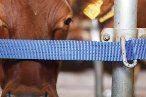 Etuputki asennetaan niin, että lehmä pystyy käyttämään koko etualueen nousu- ja makuullemenoliikkeisiinsä. CC1800 partta on viisi eri kokoa.