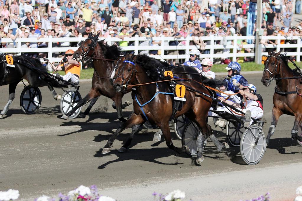 The Finnish Trotting and Breeding Association Suomen Hippos ry Tulkinkuja 3, FIN 02650 Espoo, Finland Telephone +358 20 760 500 E-mail: hippos@hippos.fi and firstname.lastname@hippos.fi www.hippos.fi Vice President: Mr.