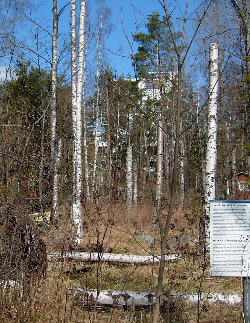 16 voista asemakaavoihin, on varattava riittävästi virkistysalueita. Viheralueiden tarjonnan on oltava myös monipuolista.