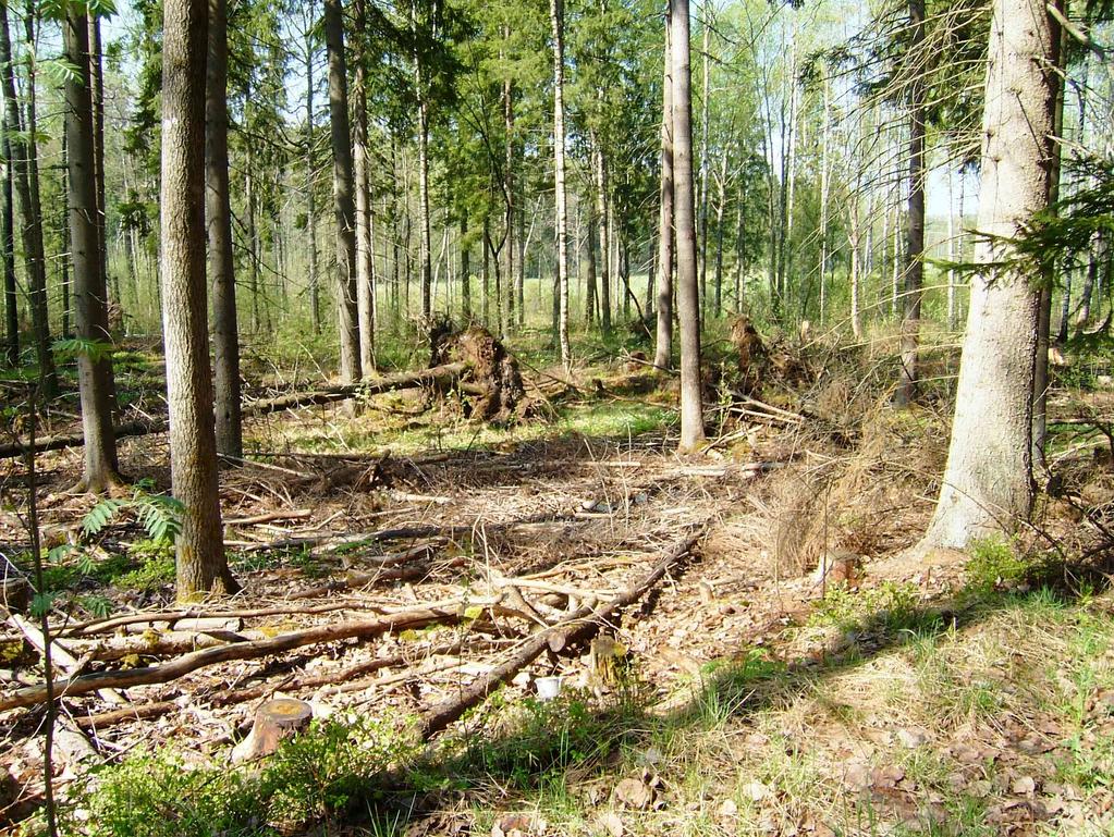 30 2.4.3 Viheralueiden valtakunnallinen hoitoluokitus Ensimmäinen valtakunnallinen viheralueiden käyttö- ja hoitoluokitus julkaistiin 1990-luvun alussa.