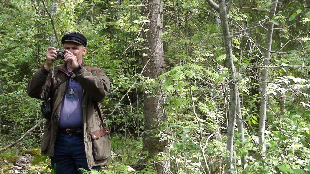 41 Dokumentoi metsää, ota valokuvia ja videoita. Oli kyse sitten suojelualoitteesta tai arvometsää uhkaavasta hakkuusta kuvat kohteesta ovat tarpeen.