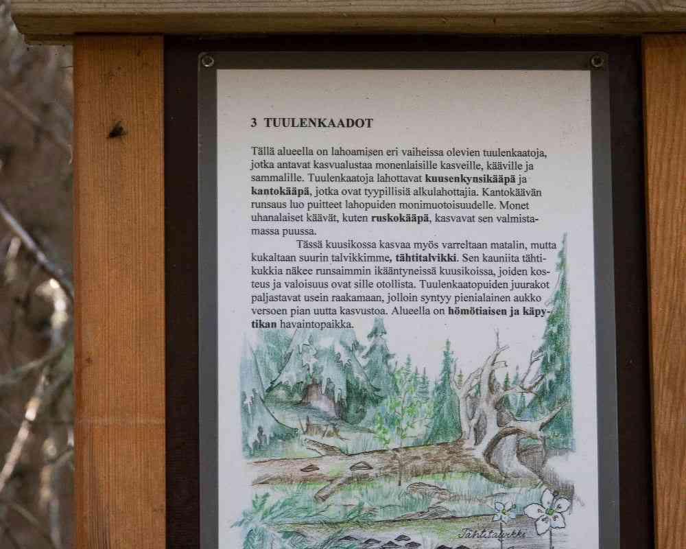 50 Tieto lisää ymmärrystä. Kuva: Keijo Luoto.