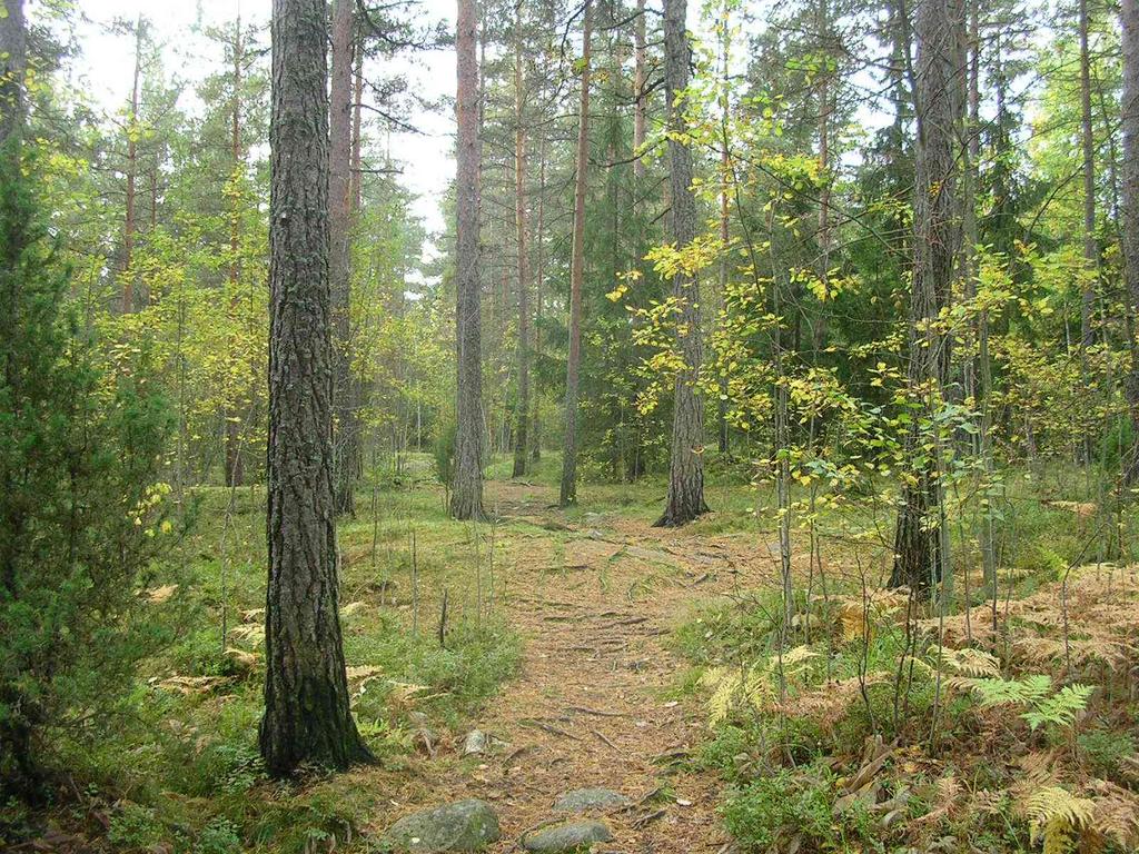 53 3.3.1 Yhteistyötahot ja yhteistyöhön sopivat toimenpiteet Niin kaavoitusta kuin metsän käsittelyä tai reittien rakentamista suunniteltaessa tulee toimia yhteis työssä alueen käyttäjien kanssa.