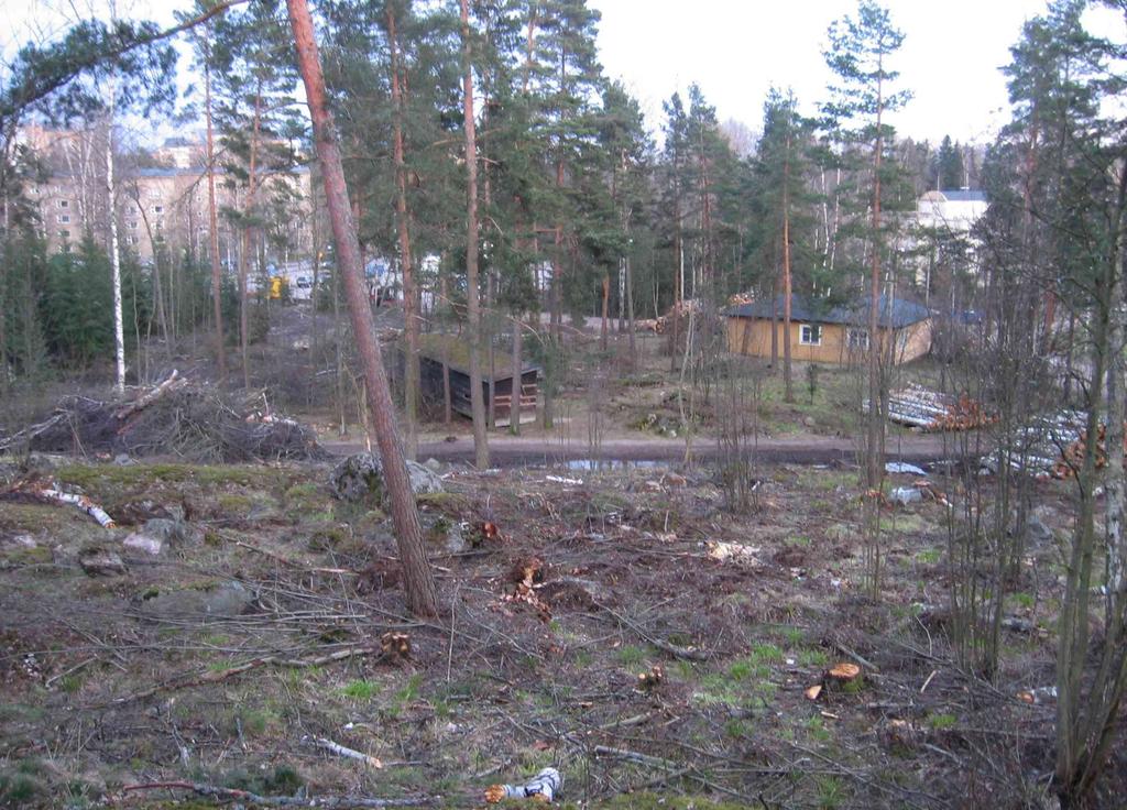 54 Kulunut, juurikäävän vaivaama kuusikon uudistaminen on tehty kerralla (vaaleanruskeat putket