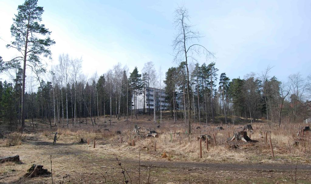 Maiseman kannalta olisi ollut parasta toteuttaa useilla pienaukoilla ja pidemmällä aikavälillä.