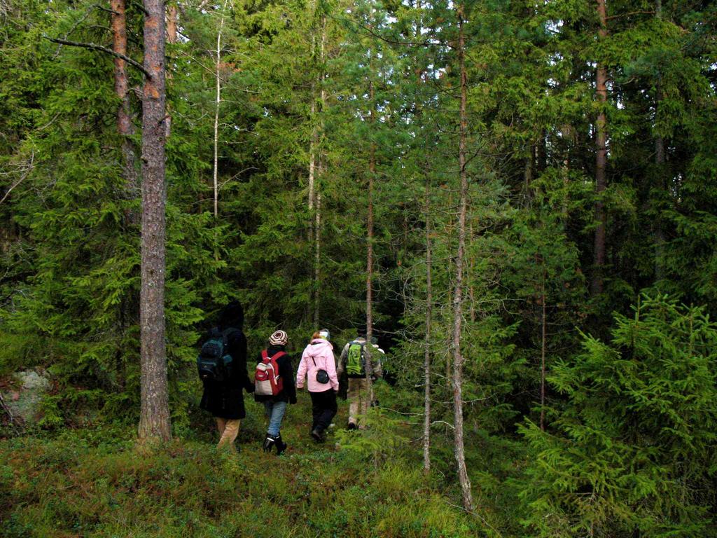 64 suositellaan ottamaan paremmin huomioon metsänomistajien metsien hoidolle asettamat erilaiset tavoitteet ja lisäämään metsänomistajien päätösvaltaa.
