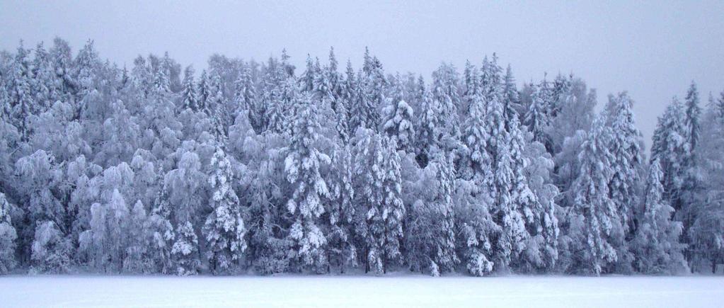 98 Suunnittelutyön aikataulu ja käytössä ollut lausuntoihin ja vastineisiin perustuva työskentelytapa mahdollisti sen, että työssä pystyttiin läpikäymään myös kuviokohtaiset hoitoehdotukset.