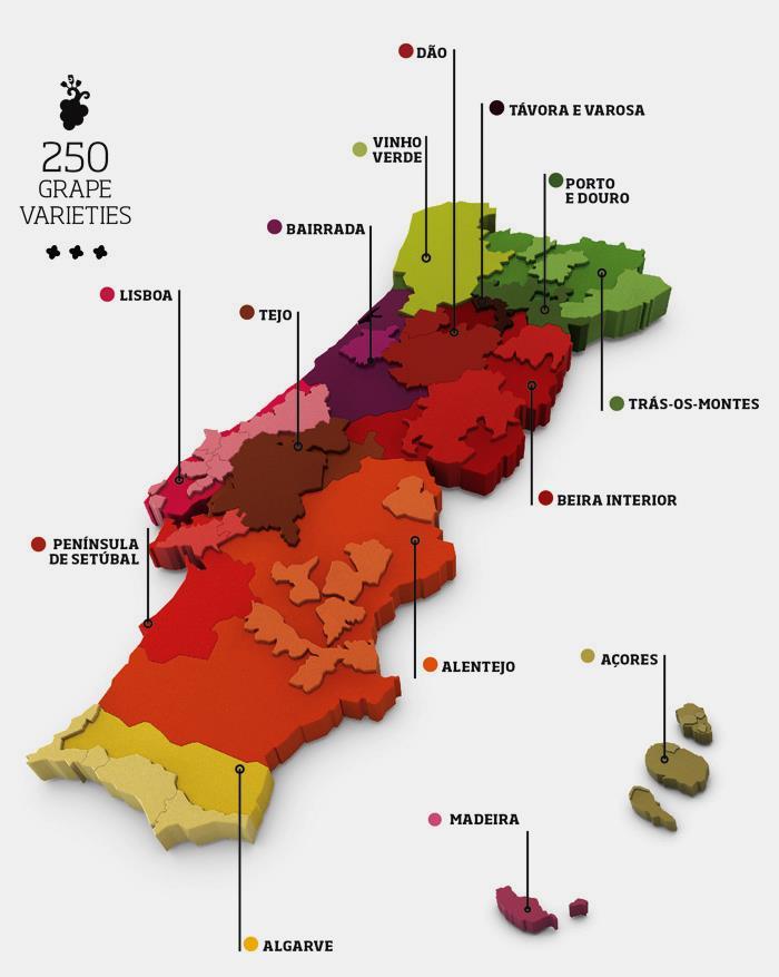 Portugalilaiset viinityylit tänään Kun Dourosta laskeutuu hieman etelämmäksi ja siirtyy maan keskiosiin, tullaan Dãon viinialueelle. Se kuvastaa alueena ehkä parhaiten viime vuosien muutosta.