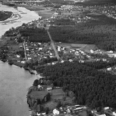 viljelykäytössä ja asutus oli melko kaukana rantaviivasta. Kuva JKPA. Pataluodon aluetta vuodelta 1964.