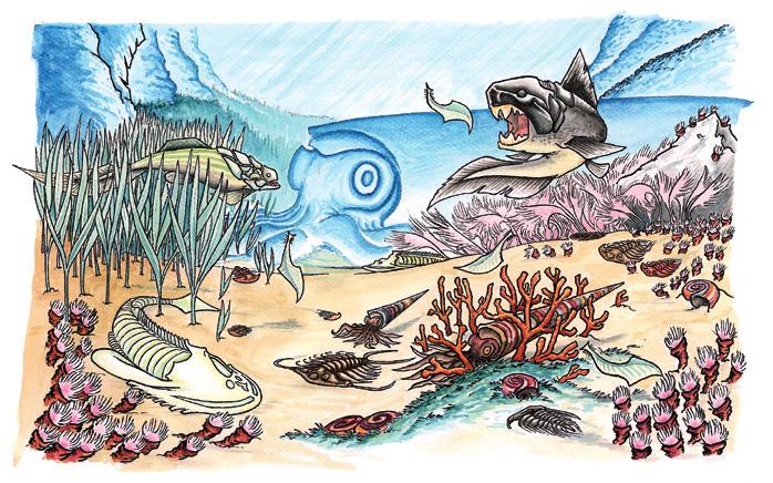Biologisen evoluution tuloksena meriin syntyi mikroskooppisen pieniä, nykyisten bakteerien kaltaisia eliöitä noin 3,5 miljardia vuotta sitten.