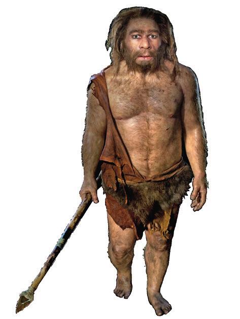 He tekivät työkaluja, huolehtivat sairaista ja hautasivat vainajiaan. Neandertalinihmiset hävisivät noin 28 000 vuotta sitten. Häviämisen stä ei vielä tiedetä.