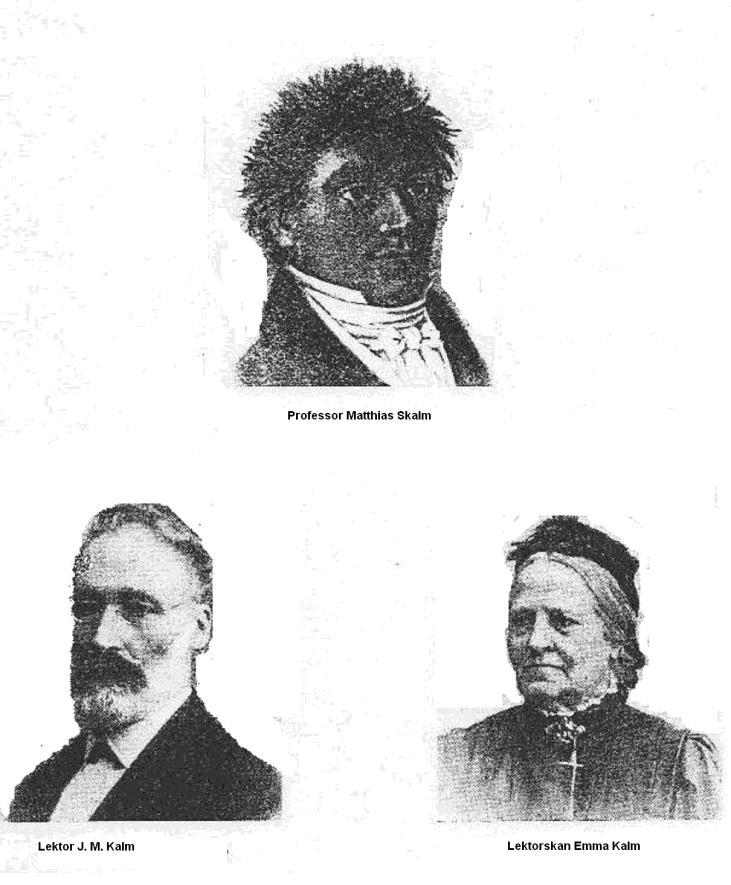 Johan Matthias Kalmin veljen Erik Erikssonin tytär Emilia meni naimisiin Jomalassa asuneen herastuomari Matts Reinhold Mattsonin kanssa ja he käyttivät sukunimeä Kalm.