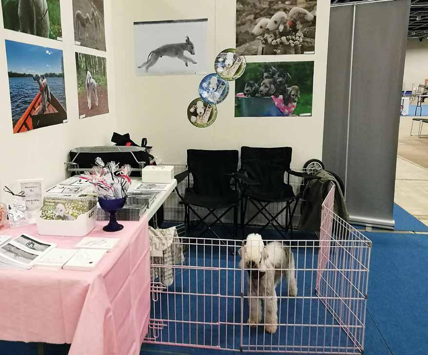 Saana Remula Nemi odottaa ensimmäisiä rapsuttelijoita Kaiken kaikkiaan tapahtuma oli erittäin onnistunut.