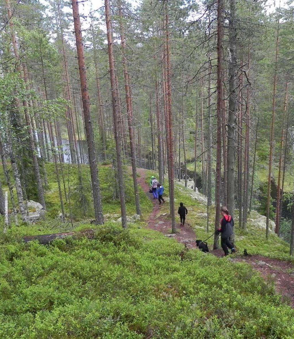 Soveltava Liikunta SoveLi ry Valtakunnallinen liikuntajärjestö Jäsenenä 20 valtakunnallista kansanterveys-, vammaisja liikuntajärjestöä.