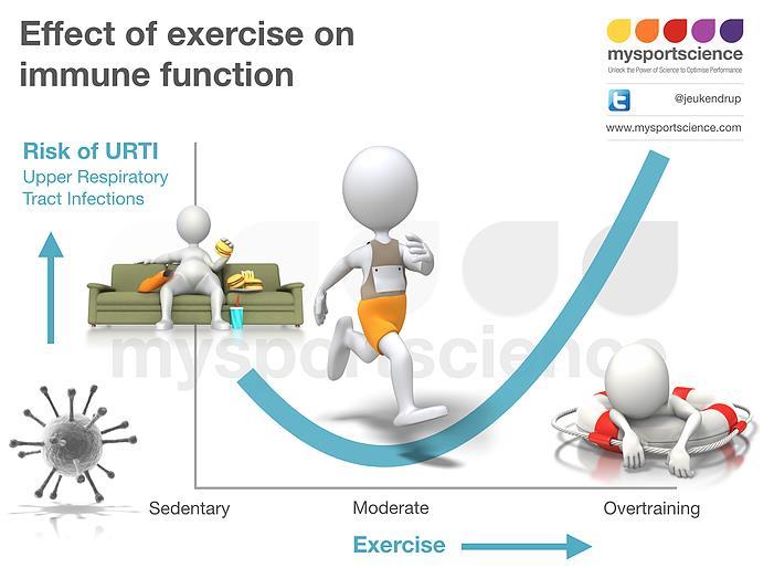 Kuormituksen ja palautumisen hallinnalla terveempiä harjoituspäiviä Ylikuormitukseen liittyy kohonnut riski ylähengitystieinfektioihin (esim. Gleeson et al. 2013) Vaikutus mm.