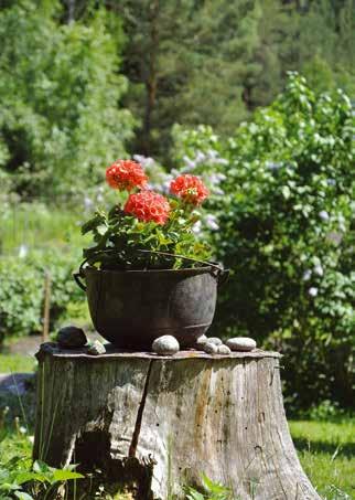 38-39 ja luontoretket 50 Law office 59 Mat 59 Pankit 51 Nature excursions Naturfotokurser Radio & TV 53 and photography och naturutflykter 50 Rakennus 54-55 courses 50 Partiaffärer 44 Ruokaa 59