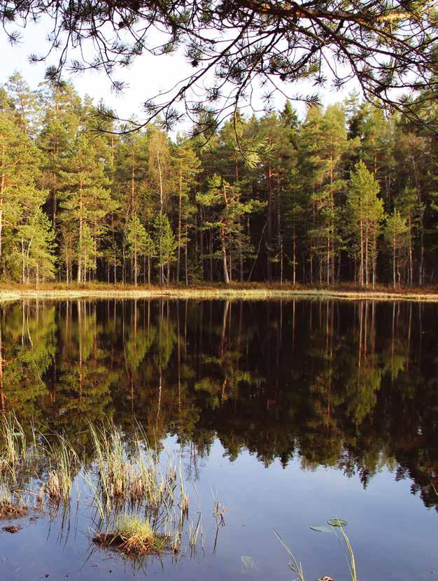 SIBBO UNGDOMSFÖRBUND rf (SUF) KANSLI: Bubbisvägen 6, 04130 Sibbo suffen@kolumbus.fi http://suf.nsu.