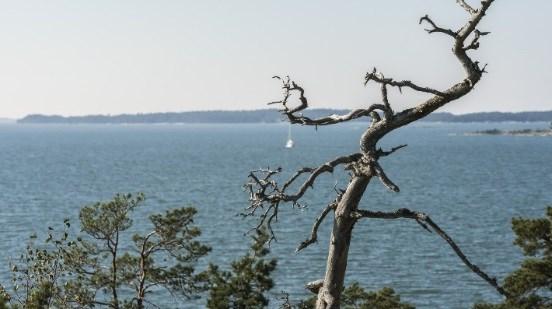 Liikenne Luonnonmaan joukkoliikenteen tasoa parannetaan Asuntomessujen ja kouluratkaisujen myötä merkittävästi.
