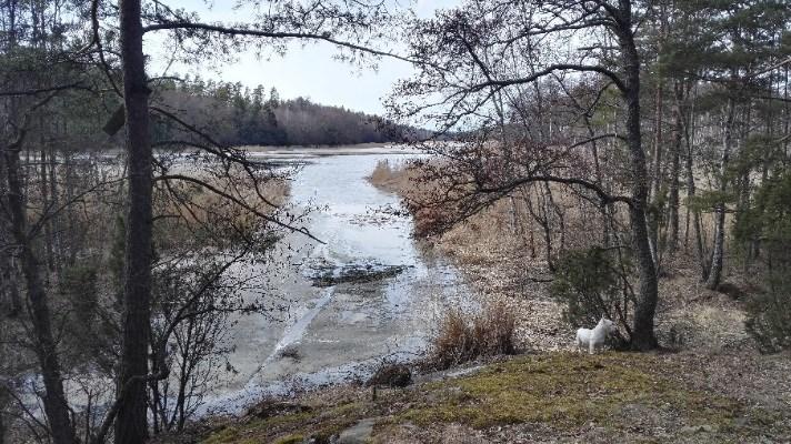 rantapuistoineen luovat alueelle monipuolisen ja kauniin maisemakokonaisuuden.