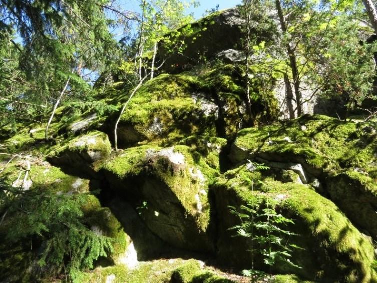 A S U N T O M E S S U H A K E M U S N A A N T A L I 2 0 2 2 Sivu 9/11 Rakentamisen kehittäminen Energiaratkaisut Tavoitteena on luoda yhteisöllisiä alueellisia energiaratkaisuja ja erilaisia