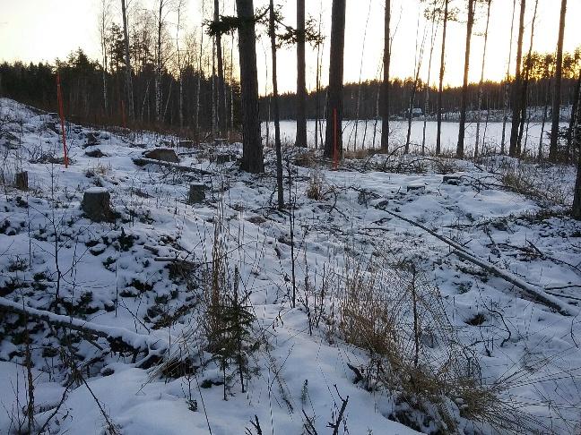 1 HAMINAN KAUPUNKI KAUPUNKISUUNNITTELU KAAVOITUS JÄRVIALUEEN OSAYLEISKAAVAN MUUTOS