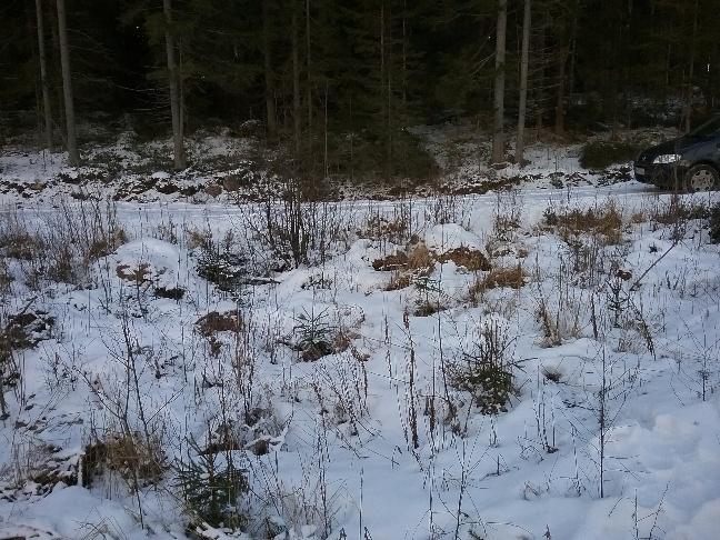 TAVOITTEET 4 Osayleiskaavan tavoitteet Osayleiskaavan muutoksen tavoitteena on: - parantaa loma-asuntorakentamisen rakentamisolosuhteita. LÄHTÖKOHDAT Luonnonympäristö Muutosalue on rakentamaton.