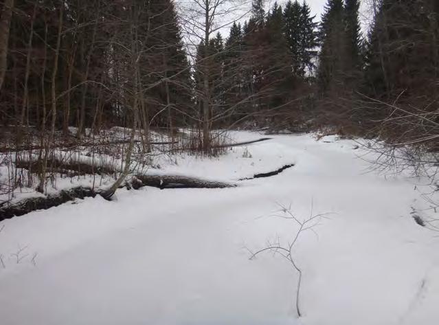 2.1.2 Vanjoki Karjaanjoen vesistöalueen Vanjoen osa-alueeseen (23.04) kuuluva Vanjoki alkaa Karkkilan Pyhäjärvestä ja laskee Hiidenveden Kuninkaanlahteen.