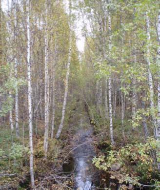 75 Kalvinit Oy Kuva 8.16. Vasemmalla Kuparioja, oikealla Alimmainen Kalliojärvi. Sähkönjohtavuus eli veteen liuenneiden suolojen määrä (ka.
