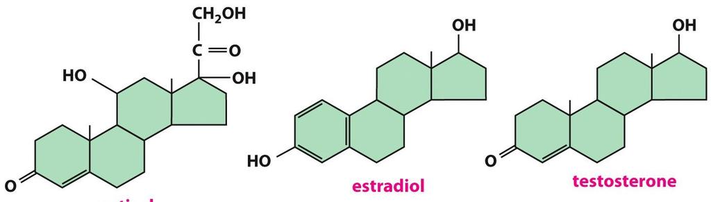 Intracellular