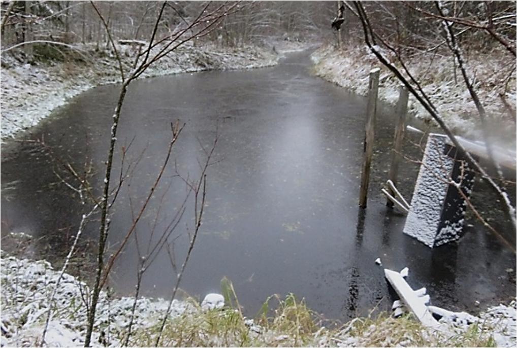 Tässä yhteydessä tulisi myös purkaa Levonojaan rakennettu altaisiin vettä ohjaava patorakenne (Kuva 12C).