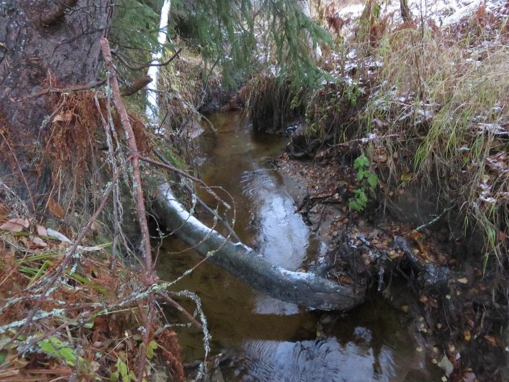 lueen sijainti maastokartalla () ja kaavakartalla () sekä valokuva